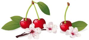 cherry-therapies-2
